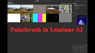 How to create a paintbrush in Luminar ai