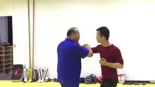 天津咏春拳陳钊咏春国际武术教练黐手教学