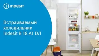 Встраиваемый холодильник Indesit B 18 A1 D/I - обзор модели