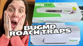 Are the Bug MD roach traps worth it? Review and set up