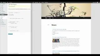 Wordpress RSS Multi Importer - Customize the styling of your template