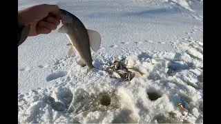 РЫБАЛКА НА КРАЮ ЗЕМЛИ В ПОИСКАХ ХАРИУСА
