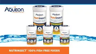 Aqueon® Nutrinsect™