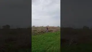 Экологический субботник.