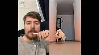 Mr best pajin