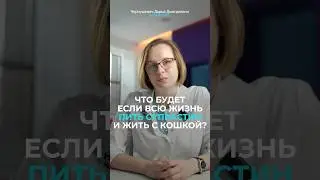 Аллергия и кошка: СОВМЕСТИМЫ? 