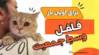 فلفل برای اولین بار وسط جمعیت! | تجربه فلفل در ایونت حیوانات عمارت روبرو 😻