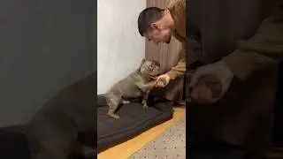 ❤️🐶