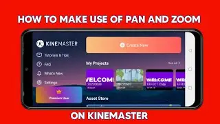 Pan And Zoom on KineMaster