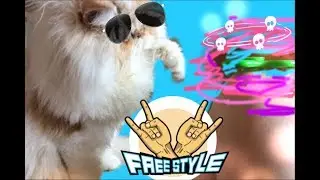 КОТЫ ТОЖЕ УМЕЮТ КРУТИТЬ СПИННЕР 😱😱😱😮😲😮😲😱
