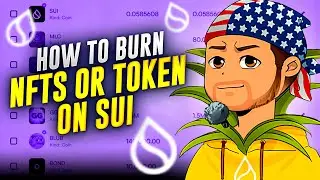 How To Remove Scam Tokens & NFTs From Sui Network: 3 Easy Steps To Clean Your Wallet
