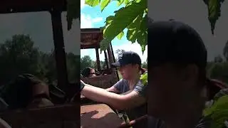 ОКАЗАЛИСЬ В ДЖУНГЛЯХ