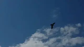 20200616 151211