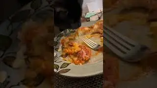 Shadow eats my supper? #ailurophile #minipanther #shadow #blackcatlife