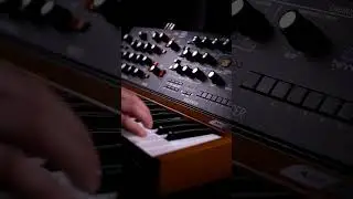 Behringer Poly D distorted mono sound 🎶