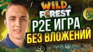 💰 WILD FOREST P2E ИГРА БЕЗ ВЛОЖЕНИЙ | wild forest обзор игры | wild forest сколько можно заработать