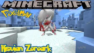 HOW TO FIND HISUIAN ZOROARK IN PIXELMON REFORGED - MINECRAFT GUIDE