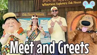 Do Disney Meet & Greets Feel Awkward as an Adult?
