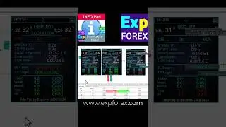 Info Pad #metatrader #ea #forex #metaquotes #mql #forextrading #trading #strategy #trendingshorts