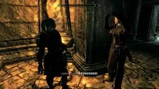 Skyrim Thalmor Follower Mod - Justiciar Ayrenn saves her life by telling Thalmor jokes to Delphine