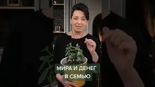 Мира и денег в семью 