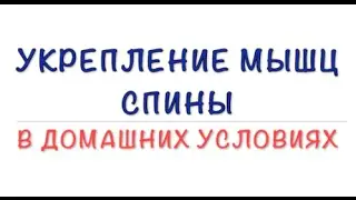 Укрепление мышц спины в домашних условиях, когда нет времени