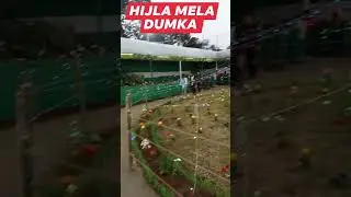 New viral short video//#dumka #santali #viralvideo #viral #video
