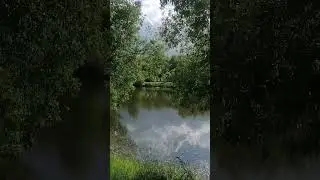 17 августа 2024 г.