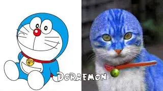 Doraemon in Real Life 2022 | Many Characters