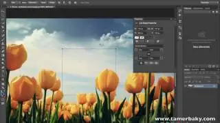 الدرس التاسع والعشرون عناصر Shapes داخل الفوتوشوب Adobe Photoshop CC 2015