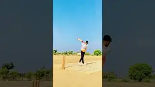 Cricket loving status 😍