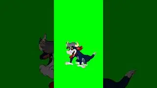 Tom in Love 💘 | Green Screen Meme  Clip | 