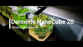 Запуск аквариума Dennerle NanoCube 20.