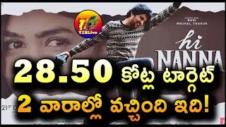 Hi Nanna 14 Days Total Worldwide Collection | Hi Nanna Movie Day 14 Total Collection | T2BLive