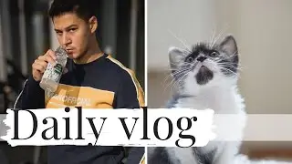 DAILY VLOG | Am salvat 5 pisici, shopping și ultima petrecere Shopping City Satu Mare din 2021