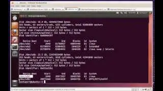 permanently mount the drive in linux