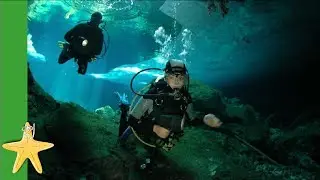 Tauchen in Mexikos Höhlen - Dos Ochos Cenote
