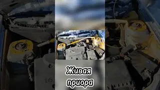 "Живая" Лада приора, ваз 2170
