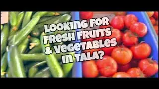 I Went To The Tala Farmers Market in Cyprus <script data-cfasync=