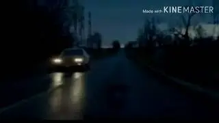 Жизнь в серых оттенках