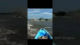 Extraña Criatura Marina Captada en video #amazing #scary #misterio #noticias #fyp #fypage