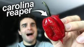IF YOU EAT THIS CHILLI, WILL YOU DIE? True or False #52