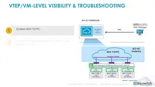 Big Cloud Fabric Enterprise-VPC support for VMware NSX-T