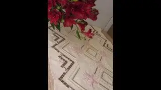 Первый отчет по салфетке 