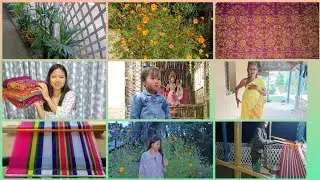 My mom few pasra (Rignai) Collection  & My sister small Garden🌺🥀🌹#@susmidebbarma9707