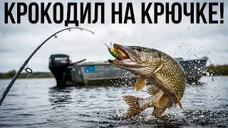 Рыбалка на Щуку.Fishing for Pike.