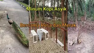 Ruang Hijau Coffee Shop