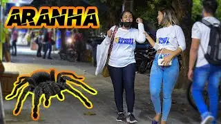 PEGADINHA - ARANHA GIGANTE - Giant Spider Prank