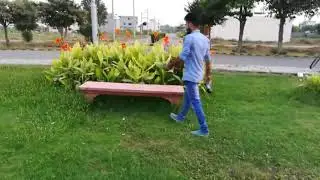 Pepsi fun | beard boyz | slap along pepsi