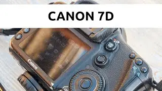 Обзор Canon 7D: все еще может!